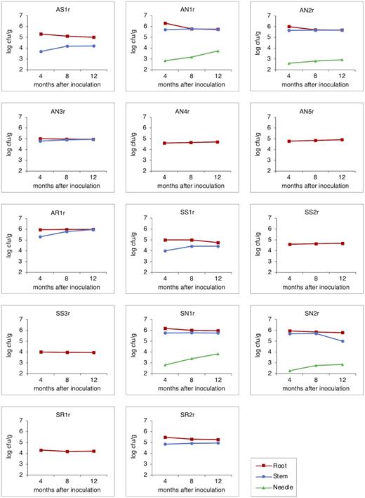 Mean endophytic population densities of bacterial strains expressed as log of colony forming units (CFU) per gram fresh weight of root, stem and needle tissue 4, 8 and 12 months after inoculation (n = 5 seedlings per treatment). For clarity of presentation, error bars were omitted.