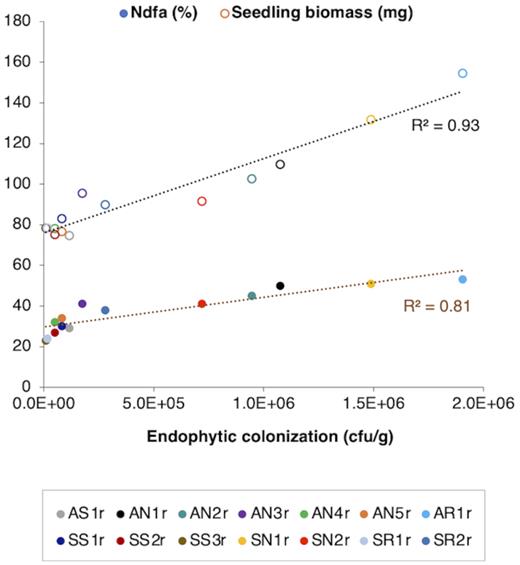 Correlation of endophytic population sizes of bacterial strains in lodgepole pine tissues (aggregated for all tissue types) with seedling biomass and % nitrogen derived from the atmosphere (Ndfa), 1 year after inoculation.