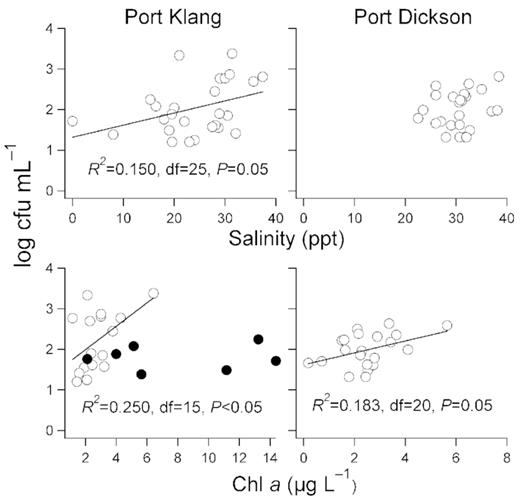 Correlation analyses between (top panels) Vibrio spp. abundance (log cfu mL−1) and salinity (ppt), (bottom panels) Vibrio spp. abundance (log cfu mL−1) and Chl a (µg L−1) at Port Klang and Port Dickson. Linear regression slopes are shown when significant. For the bottom left panel, data from Port Klang when salinity is <20 ppt are represented as filled symbols and were not included in the correlation analysis.