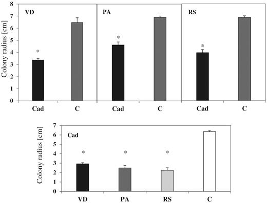 The growth inhibitory effects of Cadophora sp. and pathogenic fungi. The DSE Cadophora sp. (Cad) was grown in dual cultures with the three pathogens V. dahliae (VD), P. aphanidermatum (PA) and R. solani (RS). Each of the pathogens was grown in the presence and absence of Cadophora sp. (Cad). Shown are the means and standard deviations of the radii of fungal colonies measured toward the direction of the opposing colony in the co-culture, and compared to the growth of the same fungus in axenic culture (C). T-test (P = 0.05, n = 4) revealed an inhibitory effect of Cadophora sp. (Cad) on the growth of all pathogenic fungi. An inhibitory effect of pathogens on the radius of Cadophora sp. (Cad) was also observed. Significant differences between fungal growth in the axenic and the co-culture are indicated by asterisks.