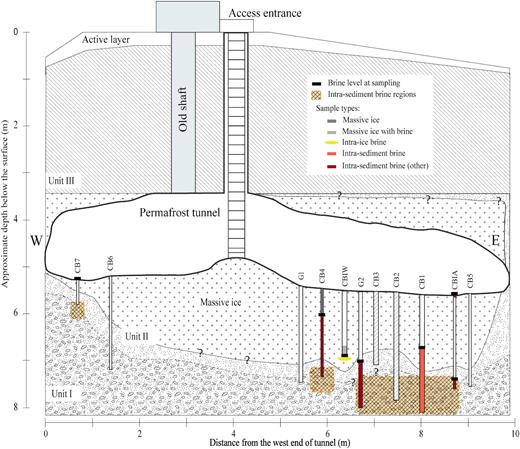 North-facing cross-sectional diagram of the Barrow Permafrost Tunnel system. The tunnel is entered via the access ladder, and equipment and supplies are lowered through the same space. Cryopeg boreholes CB1, CB2, CB3 and the upper (dry) portion of CBIW were drilled prior to this study; CB2 ad CB3 were sealed and unavailable for this study. The other boreholes were drilled in 2017 and 2018, with pipes installed to preserve the holes and facilitate sampling. Crosshatched sections indicate confirmation of cryopeg sediments (intra-sediment brine regions). Units I–III refer to permafrost regions, following Meyer et al. (2010a). W and E indicate West and East directions, respectively. Question mark symbols ‘?’ indicate unresolved boundary position. See Table 1 for sample details, and Text S1 (Supporting Information) for borehole terminology and drilling details.