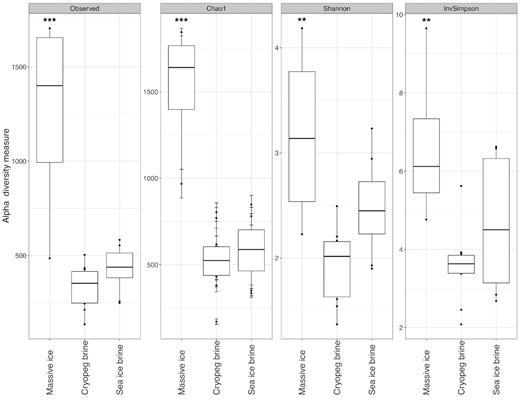 Indices of microbial community richness (left panels) and diversity (right panels) for the three main sample types: massive ice, cryopeg brine and sea-ice brine. Massive ice samples (n = 4) differ significantly from cryopeg brines (n = 10) by every measure (** indicates P < 0.01 and *** indicates P < 0.001). Indices for sea-ice brines (n = 8) tend to be higher than cryopeg brines, also by every measure, but not significantly (e.g. P = 0.0796 for Shannon diversity index).