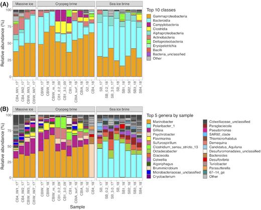 Relative abundance plots of taxa in each sample, grouped by the three main sample types. (A) The top 10 classes across all samples are color coded; lower abundance classes are in gray. (B) The top five genera from each sample are color-coded and shown in each sample where they occur; lower abundance genera are in gray. Sample designations are further described in Table 1.