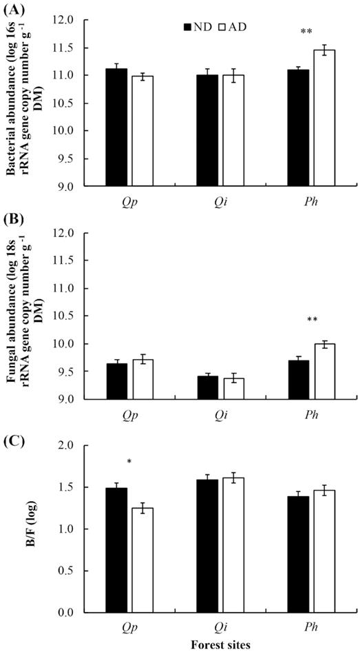 Effects of the two drought conditions (ND = natural drought: AD = amplified drought) on the total bacterial (A), fungal (B) abundances and bacteria to fungi ratio (C). Barplots are mean ± SE. Significant effects are indicated with respective symbols * for P < 0.05 and ** for P < 0.01. Qp = Q. pubescens, Qi = Quercus ilex, Ph = P. halepensis.