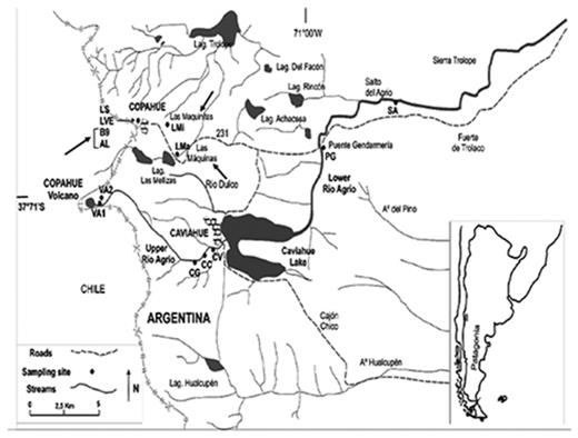 Locations of the geothermal fields within the Copahue geothermal system and sampling points (indicated with black arrows): Las Máquinas (LMa), Las Maquinitas (LMi), Baño 9 (B9–2 and B9–3) and Agua del Limón (AL). Other sample points indicated in the map, belonging to the Rio Agrio, were not included in this study (Chiacchiarini et al. 2010).