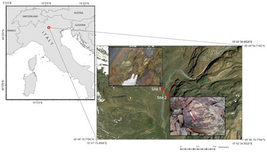 arcGIS based map showing the sampling context. Sampling was done in the Italian Eastern Alps (left part of the picture), the eight rock chips were taken from two sites on a glacier forefield (in the upper left corner of the right picture is visible the glacier tongue as it was in 2013).