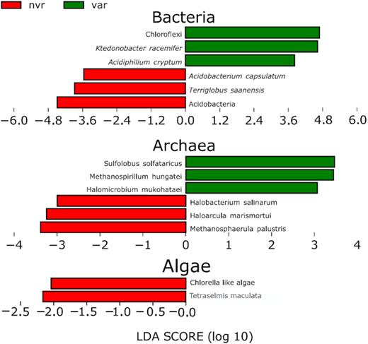 LEfSe plots showing taxonomic biomarkers in the two environments, extended versions of this plots can be found in Figs S5 and S6 (Supporting Information).