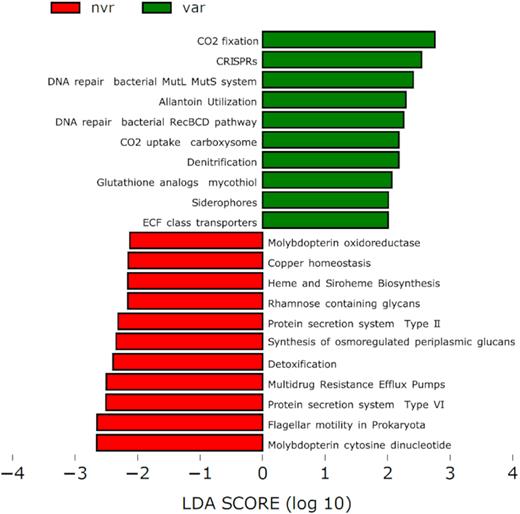 LEfSe plots showing functional biomarkers in the two environments, an extended version of this plot can be found in Fig. S8 (Supporting Information).