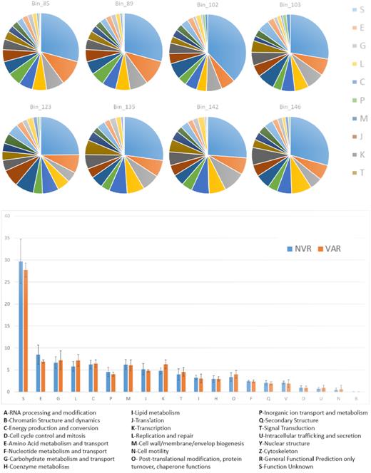 Pie-charts displaying the proportions of proteins annotated within each COG category (upper part of the picture), and histograms of aggregated data for MAGs retrieved from varnish (orange) and non-varnish (blue) samples.