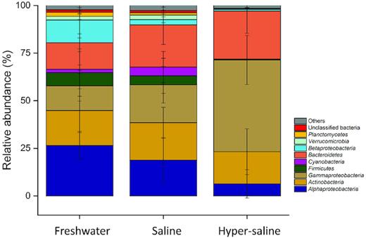 Bacterial taxonomic compositions in freshwater, saline and hyper-saline lakes on the Tibetan Plateau. The relative abundance of Alphaproteobacteria decreased with increasing salinity, whereas that of Gammaproteobacteria and Bacteroidetes followed the opposite trend.