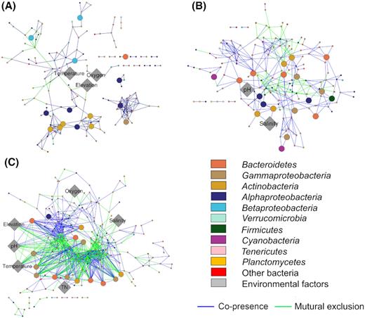 Bacterial co-occurrence networks in freshwater (A), saline (B) and hyper-saline (C) lakes. Dominant (average relative abundance > 0.1%) operational taxonomic units (OTUs, at 97% sequence identity) are coloured by taxonomic classifications. Co-presence relationships (or positive correlations) are coloured blue, while mutual exclusion relationships (or negative correlations) are green. Overall network complexity, especially negative correlations, increased with increasing salinity.
