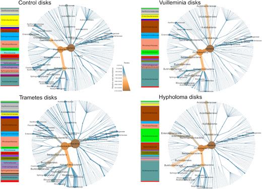 Taxonomic composition of the bacterial community in fungus-colonised wood disks, broken down by treatment. Stacked bar charts of family relative abundance are presented alongside heat trees. Node colour and size on the heat trees represent relative abundance for that taxon; relative read abundance is on an arbitrary scale where OTUS within each sample sums to 100 (taxa may score higher than 100 as they aggregate multiple samples). Reads unassigned at the domain level are excluded for ease of visualisation.