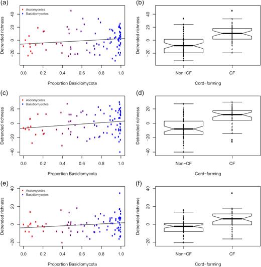 OTU richness for selected bacterial families in fungus-colonised wood disks in relation to the fungi present. Residuals from models to correct for sequencing depth (the y-scale is therefore arbitrary). (a) Burkholderiaceae broken down by the relative proportions of ascomycete and basidiomycete reads; (b) Burkholderiaceae broken down by whether the dominant fungal OTU belonged to a cord-forming genus; (c)-(d) Acidobacteriaceae broken down by the same predictors and (d)-(f) Acetobacteraceae broken down by the same predictors. A simple regression line is overlaid on the scatterplots. Notches on boxplots represent 95% confidence intervals. Abbreviations are control (C), Vulleminia comedens (Vc), Trametes versicolor (Tv), Hypholoma fasciculare (Hf), Whitestone (WS), cord-former (CF).