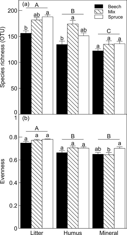 Mean ( ± 1 SE) of (a), species richness and (b), Pielou's evenness in litter, humus and mineral soil from plots dominated by beech, spruce or a mix of the two species. Bars, within each soil layer, topped with the same lower case letter are not significantly different (P > 0.05, Tukey). Different upper case letters denote significant difference (P > 0.05, Tukey) between soil layers averaged across al`l forest types.