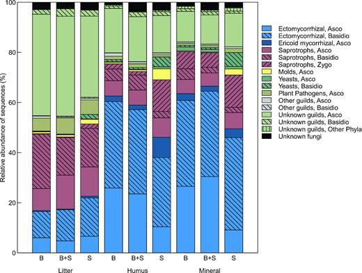 Relative abundance of fungal guilds in litter, humus and mineral soil from stands dominated by beech, spruce or a mixture of the two species.
