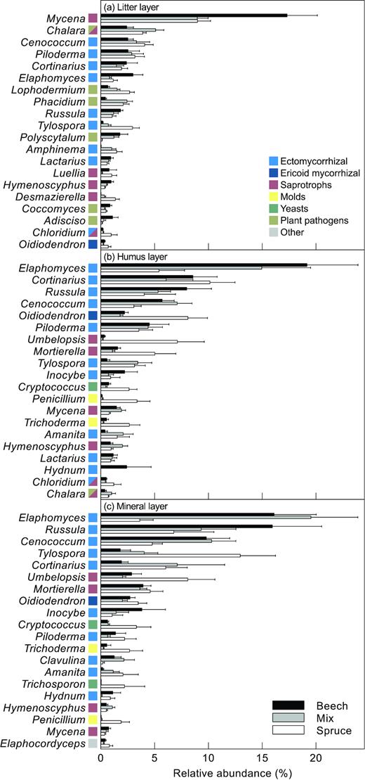 Relative abundance (mean ± 1 S.E.) of the 20 most abundant genera in the (a), litter layer (b), humus layer and (c), mineral soil, respectively, in stands dominated by beech, spruce or a mixture of the two species. Colour next to genus name denotes fungal guild (see insert).