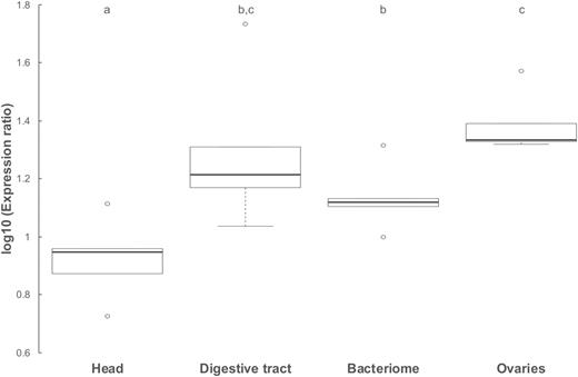 Boxplots showing the density of infection of Wolbachia across four tissues (head; ovaries; bacteriome-like structure: digestive tube from P3 to P5; see Fig. 2) of five neotenic queens from nest M_82 of C. tuberosus using qPCR. Density of infection was estimated as the log10 of the expression ratio using hindlegs as a control sample to which we compared all other tissues (see SM-5). The black line within the box represents the median, the bottom and top of the box are the lower (Q1) and upper (Q3) quartiles respectively (the range gives the interquartile distance, IQR), the lower and upper whiskers of the box represent 1.5*IQR below Q1 and above Q3 respectively, and outliers are found outside the range of whiskers. Letters denote significant differences between tissues (post-hoc multiple paired t-tests with fdr correction of p values).