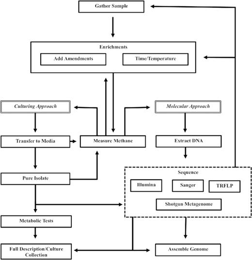 Schematic of Enrichment Methods. Traditional culturing methods follow the pathway on the left where after successful enrichment cultures are grown on artificial media. The right side of the figure depicts the modern approach where successful enrichments are sequenced and enrichment condition information is paired with modern sequencing analysis.