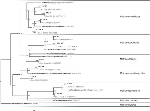 Phylogenetic tree of mcrA gene. Maximum likelihood tree of enrichments from Daisy Lake, Cartier Forest and Clear Water. A Bayesian model with 1000 replicates was used and node labels indicate bootstrap values. Branches are arranged by methanogen orders according to cultured representatives. The tree was rooted to Methanopyrus kandleri. Clones represent the closest published match by BLAST search.
