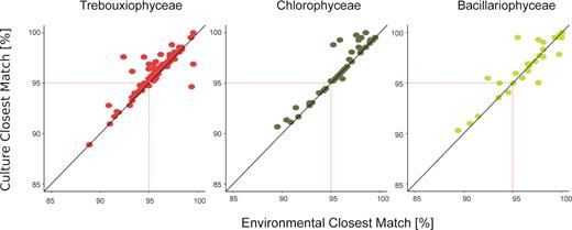 Novelty pattern derived from OTUs among the three main PPE classes. Dots represent the % similarity with the closest environmental match (CEM) and the closest cultured match (CCM) for each sequence within the three taxa (Trebouxiophyceae, Chlorophyceae and Bacillariophyceae sequences, respectively).