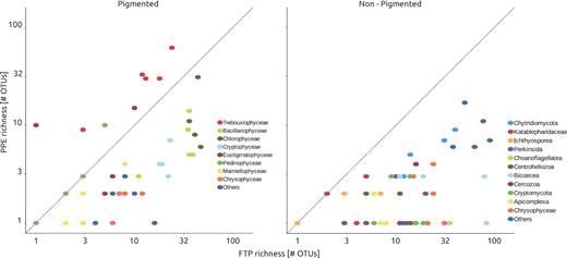 Richness (number of OTUs) of sorted samples (i.e. PPE) against richness from filtered plankton (FP) sample, discriminated by taxonomic groups.