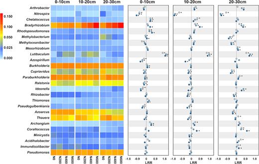 Comparison of the relative abundance of dominant genera (heatmap) and log response ratio (dot plots) in soil from three depths and with urea application rates of 0, 200, 400 and 600 kg N·ha−1·year−1 (N0, N200, N400 and N600, respectively). , N200; , N400; , N600. *significant difference in relative abundance between urea-amended treatments (N200, N400 and N600) and the control (N0). LRR: log response ratio.