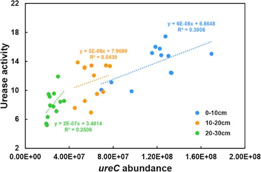 Relationship between ureC gene abundance (copy number per gram dry soil) and soil urease activity (milligrams of NH3-N catalyzed from urea by 1 g dry soil every 24 h) in soils from three soil depths (0–10, 10–20 and 20–30 cm).