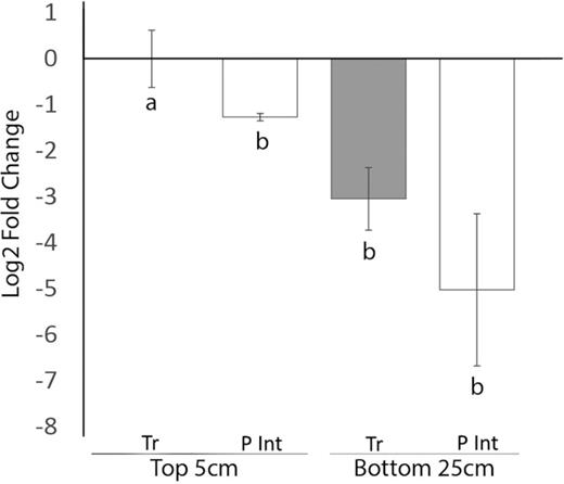 qPCR of denitrification genes nirS in trough soils (Tr) and polygon interior soils (P Int), at top 5cm and bottom 25–30 cm. Gene quantification is represented as fold-change relative to trough soil at 5 cm. All gene abundances are relative to 16S rRNA genes to control for quality and quantity of DNA extractions. Error bars represent SEM. Letters represent statistically different gene abundances between the soils.