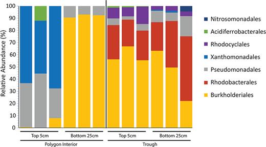Microbial composition of the nirS containing community at the Order level recovered from the functional gene sequencing of denitrification nirS gene in the trough soils and polygon interior soils at 5 cm and 25–30 cm. Family assignment was based on closest cultured organism.