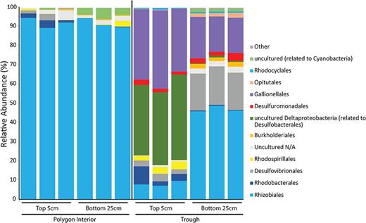 Microbial composition of nitrogen-fixing nifH gene at the Order level in the trough soils and polygon interior soils at 5 cm and 25–30 cm.