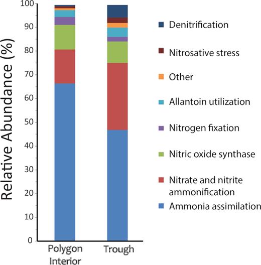 Relative abundance (%) of transcripts involved in the nitrogen cycle in trough and polygon interior top 5 cm soil metatranscriptomes.