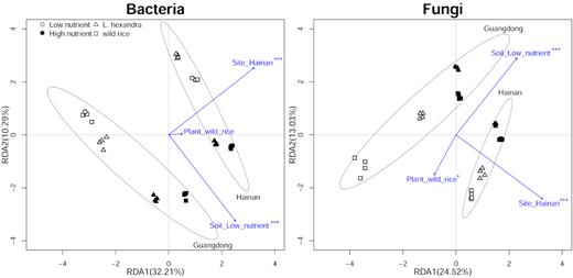 Redundancy analysis (RDA) plot based on the Hellinger-transformed OTU abundance matrix. The 85% confidence ellipses were plotted for samples from the same site. Significant results labeled beside each arrow refer to P<0.05 (*), P<0.01 (**) and P<0.001 (***).