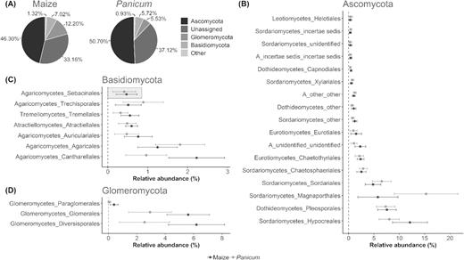 Taxonomic distribution of the 3015 OTUs (97% identity) according to the UNITE database. (A) Average relative OTU abundance of fungal phyla across root systems of the sampled plant hosts maize and Panicum. ‘Other’ comprises Chytridiomycota, Mortierellomycota, Mucoromycota and fungi with an unidentified or uncertain (‘other’, ‘incertae sedis’) taxonomic position, altogether accounting for less than 2% of all OTUs. (B, C, D) Dot plots of average abundance (percentage of total OTU count per sample) with standard deviation for the most frequently encountered orders, having a maximum relative OTU abundance of at least 1% per sample, grouped according to the dominant phyla Ascomycota (B), Basidiomycota (C) and Glomeromycota (D) and separated by plant host. Orders are ranked in ascending order from top to bottom by abundance values in maize. The target group of this study, the Sebacinales, is found among the top seven basidiomycetous orders and is framed in (C).