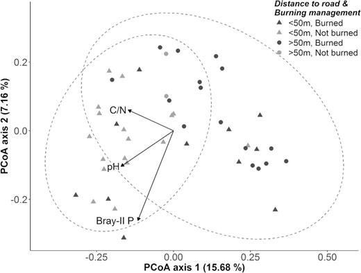 PCoA ordination based on Bray–Curtis dissimilarities of Hellinger-transformed OTU abundance data from 46 maize root systems, with soil variables fitted onto the two-dimensional space as vectors. Colors represent the two burning treatments (slash-and-burn or not) and symbols refer to the location of the field in relation to the forest (distance between field and road more or less than 50 m). Note that both grouping variables largely coincide since slash-and-burn management is generally practiced at a safe distance from the homestead, usually somewhat deeper inside the forest. When controlled fires did occur near the side of the road, this mainly happened before installation of the family hut or at larger areas that were not managed as family gardens. The soil vectors Bray-II P, pH and C/N ratio are significantly correlated with the ordination configuration; their arrows point in the direction of maximum increase. Dashed lines represent 95% confidence ellipses based on the two burning treatments.