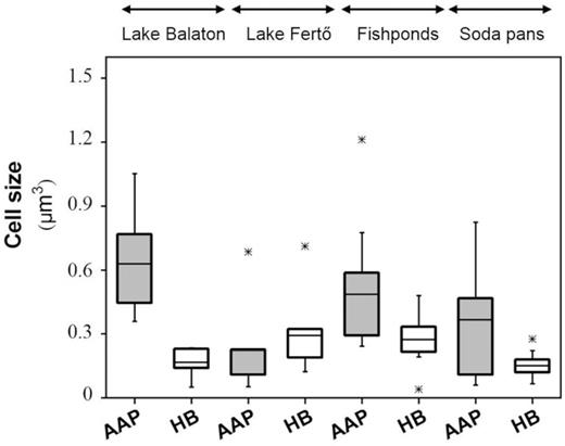 Distribution of aerobic anoxygenic phototroph (AAP) and heterotrophic bacterial (HB) cell volumes in the studied shallow lakes. The average values are represented as black lines. Out-of-range values are shown as stars.