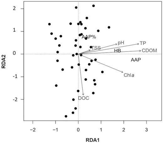 Ordination biplot of redundancy analysis (RDA). Filled circles represent sampling stations, text in black represents response variables (AAP—abundance of aerobic anoxygenic phototrophs; HB—abundance of heterotrophic bacteria), while grey texts and arrows represent explanatory variables (pH, TP—total phosphorus, CDOM—coloured dissolved organic matter, Chl a—chlorophyll a).