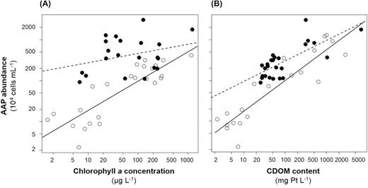 (A) Relationship between aerobic anoxygenic phototroph (AAP) abundance and chlorophyll a (Chl a) concentration. Open and filled circles represent sampling stations with coloured dissolved organic matter (CDOM) content below and above 51.81 Pt mg L−1, respectively. (B) Relationship between AAP abundance and CDOM content. Open and filled circles represent sampling stations with Chl a concentration below and above 40 µg L−1, respectively.
