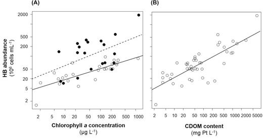 (A) Relationship between heterotrophic bacterial (HB) abundance and chlorophyll a (Chl a) concentration. Open and filled circles represent sampling stations with coloured dissolved organic matter (CDOM) content below and above 56.1 mg Pt L−1, respectively. (B) Relationship between HB abundance and CDOM content. Open circles represent sampling stations with Chl a concentration without a threshold value.