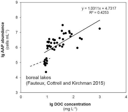 Relationship between dissolved organic carbon (DOC) concentration and aerobic anoxygenic phototroph (AAP) abundance compared with the results of Fauteux, Cottrell and Kirchman 2015. Our results are represented by black filled circles, the equation and the slope of the (solid) line is given in the corner of the figure. The results of Fauteux, Cottrell and Kirchman (2015) are marked as a dashed line without circles.