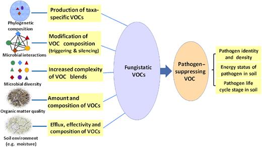 Soil microbial communities (interactions, diversity and composition) and abiotic factors (e.g. organic matter quality and moisture) determining the quantity and composition of fungistatic mVOCs and associated pathogen-suppressing mVOCs. The actual suppression is also dependent on the density and life-history characteristics of the pathogens.