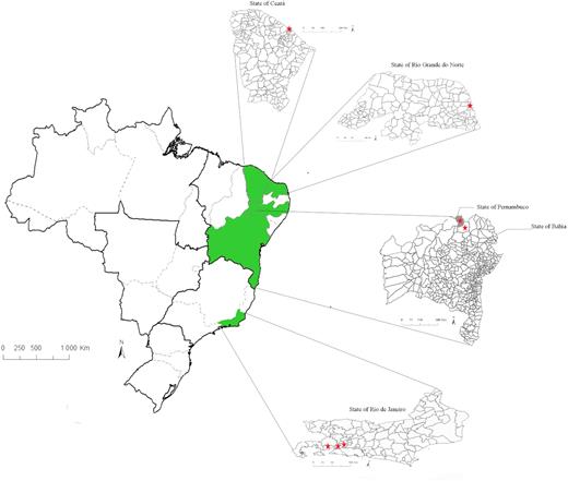 Map of Brazil showing the location of the sampling sites in different states. Ceará, Rio Grande do Norte and Pernambuco are located in the Northeast region, and Rio de Janeiro in the Southeast. The stars indicate the municipalities where soil samples were taken.