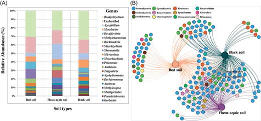 The relative abundance of the dominant diazotrophic genera in three typical upland soils (A). The rare OTUs with relative abundances less than 0.01% of the total number of nifH sequences were not shown. Bipartite network analysis was used to display the shared nifH genes among the three different soil types (at the genus level) (b).