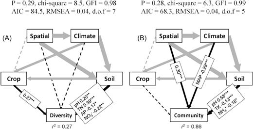 Structural equation modeling of the direct and indirect effects of space, climate, crop types and soil properties on the nifH gene diversity (A) and diazotrophic communities (B). Arrows indicate the hypothesized direction of causation. The solid line represents a significant correlation between two linked variables, while the dashed line represents no significant correlation. The width of arrows is proportional to the strength of the path coefficients. The numbers adjacent to arrows are standardized path coefficients and indicative of the effect size of the relationship. The R2 value alongside the response variable indicates the proportion of variance explained by the variable. Spatial: the sampling site coordinates. Climate: MAT and MAP. Only significant path coefficients are displayed. *P < 0.05, **P < 0.01, ***P < 0.001. (TN, soil total N content; AP, available phosphorus; TK, total potassium; GFI: goodness-of-fit index; AIC: Akaike information criterion; RMSEA: root mean square error of approximation)