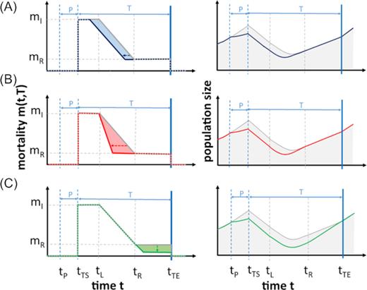 Potential responses of primed and naïve species toward stress impacts on mortality and the resulting population size. Left panels: Mortality of primed and naïve species, having (A) a stronger, (B) an earlier and (C) a faster response. Right panels: the respective population dynamics. In all panels, the naïve stress response is represented by the gray line, and the colored line represents the primed response. Priming costs are not illustrated here, as they do not affect mortality. Abbreviations: $P\ $ = priming; $T\ $ = triggering; ${m_\mathrm{ I}}$ = initial mortality; ${m_\mathrm{ R}}$ = final mortality level of the stress response; ${t_\mathrm{ P}}$ = beginning of the priming phase; ${t_{\mathrm{ TS}}}$ = beginning of the triggering stress; ${t_\mathrm{ L}}$ = end of the response lag phase; ${t_\mathrm{ R}}$ = time point when ${m_\mathrm{ R}}$ has been reached; ${t_{\mathrm{ TE}}}$ = end of triggering stress.