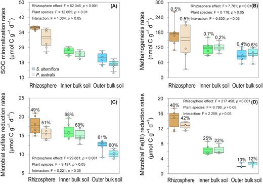 Rates of (A) SOC mineralization, (B) methanogenesis and (C) sulfate reduction and (D) microbial Fe(III) in the rhizosphere, inner bulk soil, and outer bulk soil across the rhizoboxes of S. alterniflora and P. australis in the Min River Estuary, East China Sea. The box-and-whisker plots show the median and interquartile range (IQR); the whiskers show the 1.5 × IQR of the lower and upper quartiles. The relative contributions of methanogenesis and microbial Fe(III) and sulfate reduction are provided at the top of the box-and-whisker plots. Two-way ANOVA analysis of the rhizosphere effect and that of plant species on SOC mineralization rates of each terminal metabolic pathway are provided. S. alterniflora: darker bar, P. australis: lighter bar. Rhizosphere: orange, inner bulk soil: green and outer bulk soil: blue.
