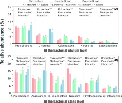 Taxonomic composition at the bacterial phylum level (A; at least one phylum relative abundance > 2%) and at the bacterial class level (B; at least one class relative abundance > 3%) across the root zones (rhizosphere and inner and outer bulk soil) of the S. alterniflora and P. australis rhizoboxes in the Min River Estuary, East China Sea. Two-way ANOVA analysis of the rhizosphere effect and plant species on each phylum or class are provided. Significant differences across the root zones or plant species are indicated by * when 0.01 < p < 0.05; ** when 0.001 < p < 0.01; and *** when p < 0.001 (two-way ANOVA).