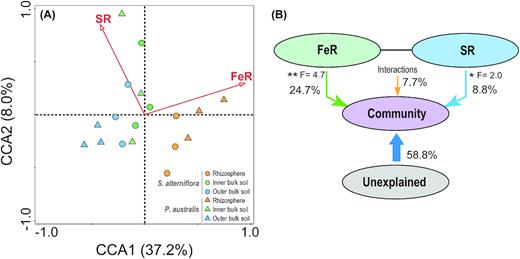 Canonical correspondence analyses (CCA) and variation partition analysis (VPA) based on the 16S rRNA gene amplicon sequences across the root zones (rhizosphere and inner and outer bulk soil) of the S. alterniflora and P. australis rhizoboxes in the Min River Estuary, East China Sea. S. alterniflora: circle; P. australis: triangle. Rhizosphere: orange; inner bulk soil: green; and outer bulk soil: blue.