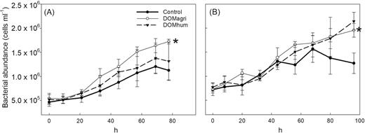 Bacterial abundance during Exp I (Øresund; A) and Exp II (Storfjärden; B) for the controls and the agriculture (DOMagri) and the humic (DOMhum) river water treatments. Original data are from Markussen et al. (2018). Asterisks indicate significant difference (SD). Error bars indicate SD of biological triplicates (six replicates in control samples).