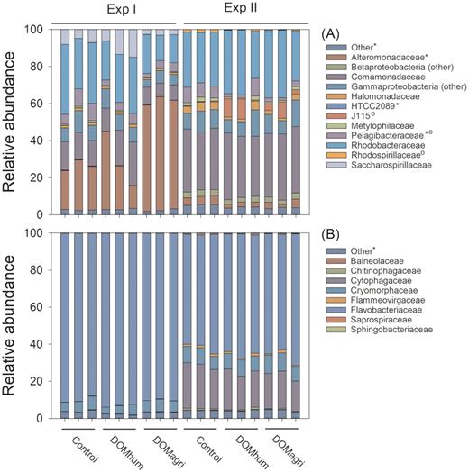 Relative abundance of Proteobacteria families (A) and Bacteriodetes families (B) at the end of Exp I (Øresund) and Exp II (Storfjärden) for the controls and the agriculture river water (DOMagri) and the humic river water (DOMhum) treatments. Significant differential abundances for each group between treatments were tested using EdgeR and are indicated for Exp I (*) and Exp II (°).