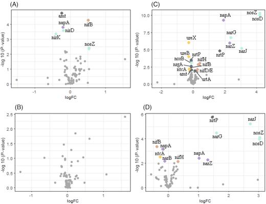 Volcano plots showing up- and down-represented N-related genes as log fold change (logFC) in Exp I (A, B) and Exp II (C, D) for the controls and the humic (DOMhum) (A, C) and the agriculture (DOMagri) (B, D) river water treatments at the end of the experiment. Significantly differentially abundant genes are marked with colored dots matching categories (Table S1). Brown = nitrogen fixation, green = denitrification, purple = nitrate reduction, dark gray = transporters, yellow = other.